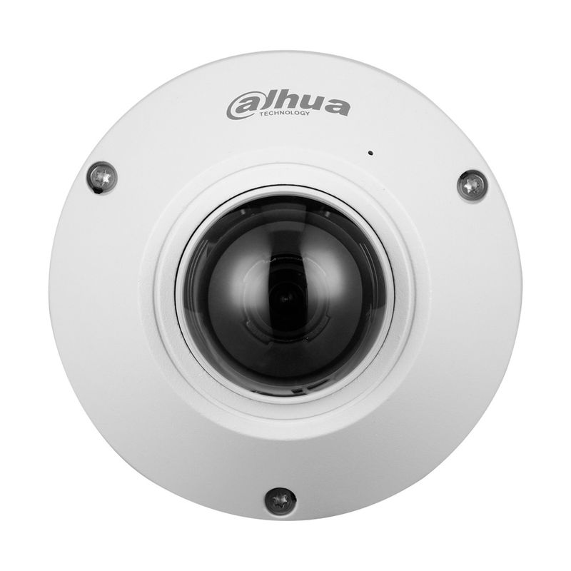 DAHUA - Dahua IPC-EB5541-AS Camara de seguridad IP 5MP 360° Fisheye
