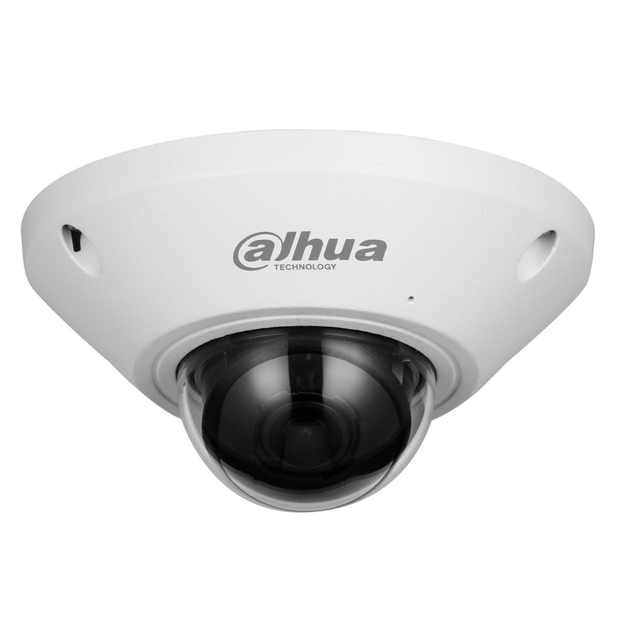 DAHUA - Dahua IPC-EB5541-AS Camara de seguridad IP 5MP 360° Fisheye