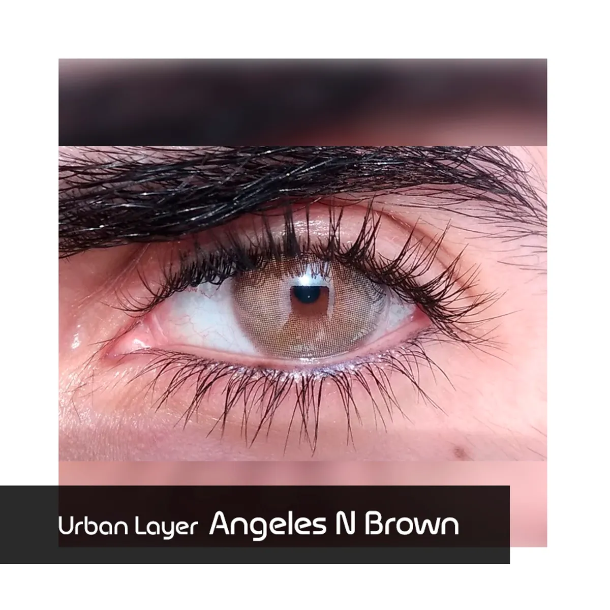 URBAN LAYER - Lentes de Contacto UL Angeles N Brown
