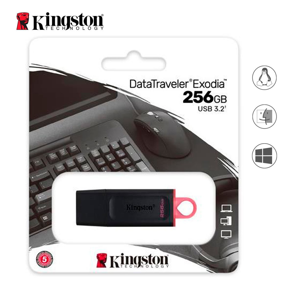 KINGSTON - Memoria USB DTX 256 GB