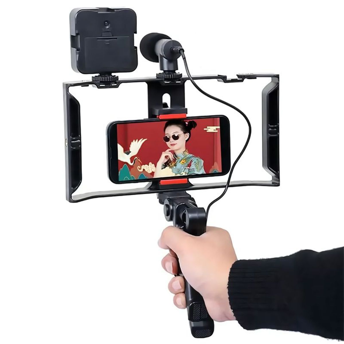 SEISA - KIT ESTABILIZADOR DE CELULAR JAULA TRIPODE MICROFONO LUZ Y CONTROL BT