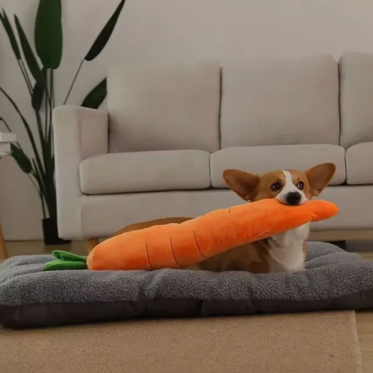 GENERICO - Juguete Divertido  Juguete para Mascotas - Naranja