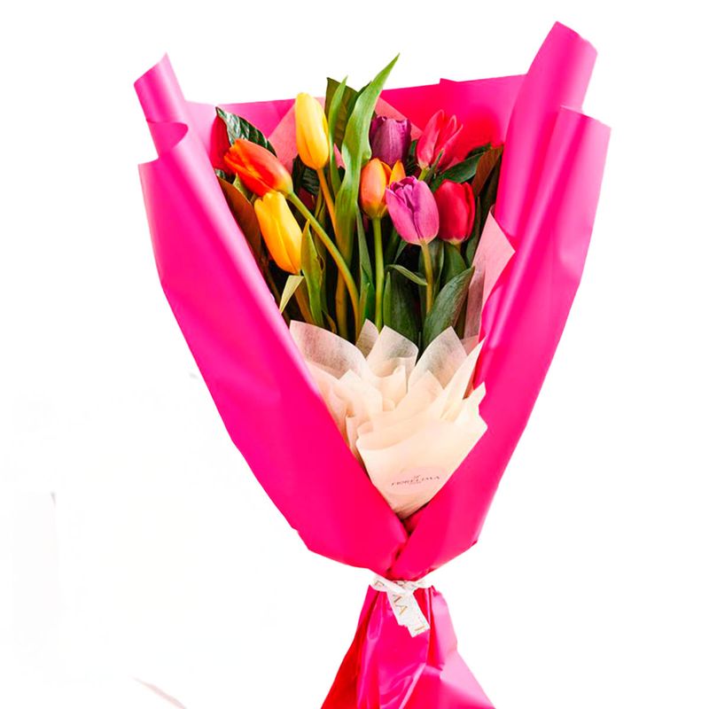 GENERICO - Ramo de 10 Tulipanes Multicolor