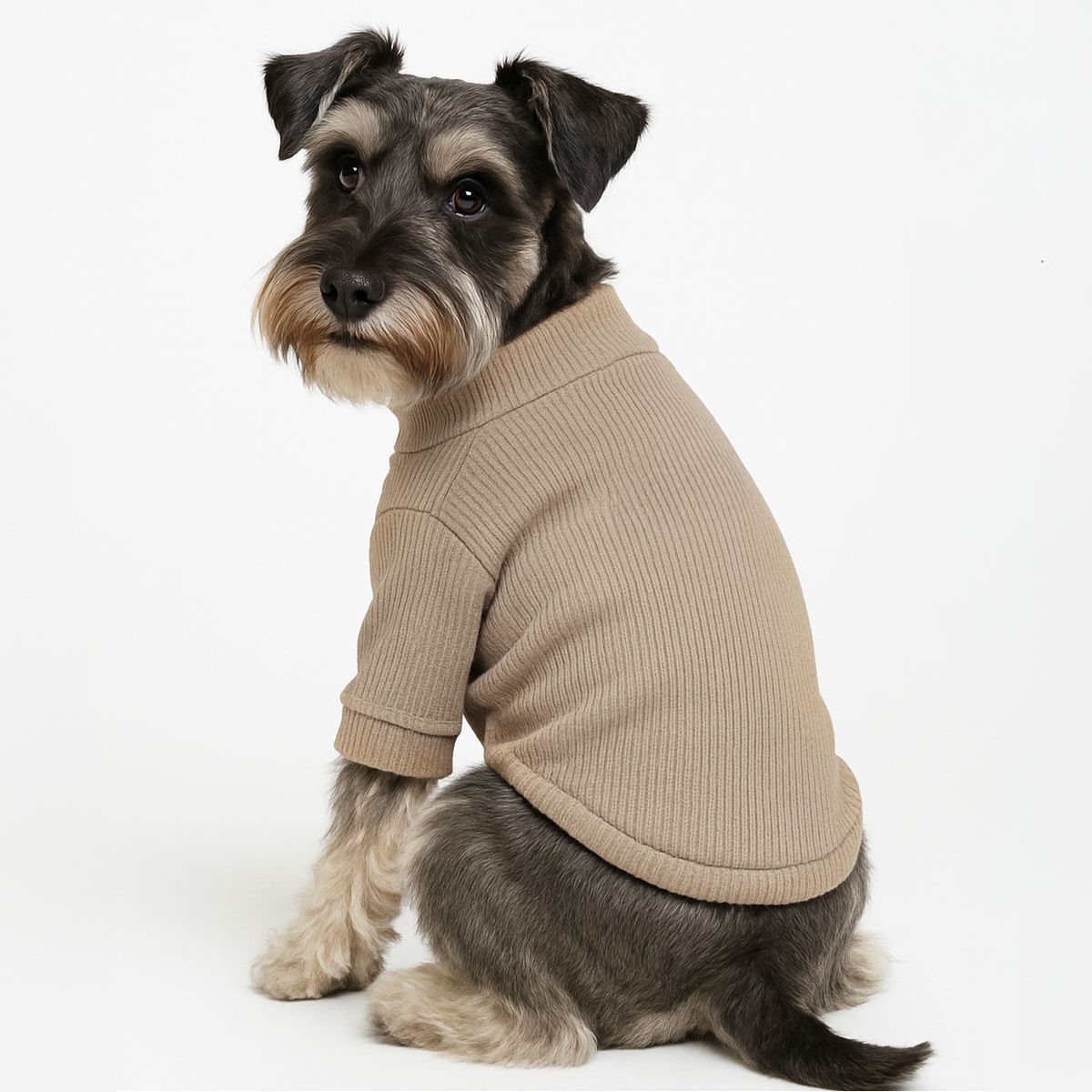 CAT OH - Cafarena Sweet Capuccino XL Ropa para perros