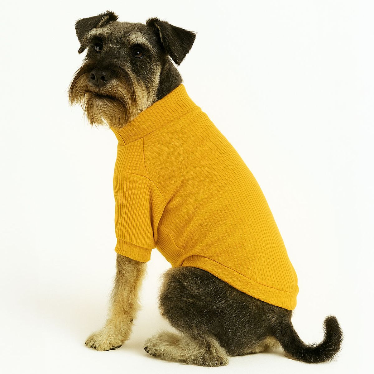 CAT OH - Cafarena Golden Vibes  S Ropa para perros