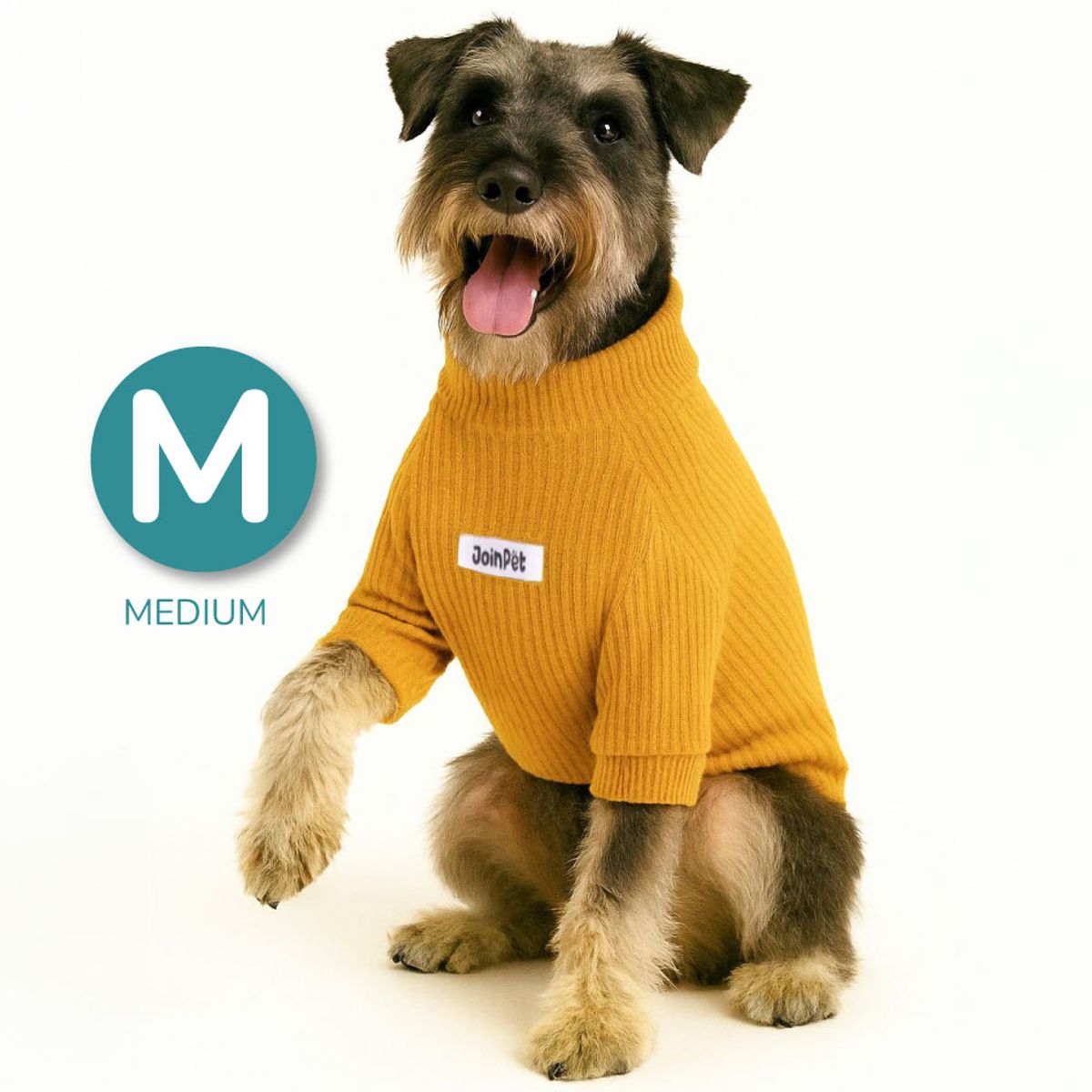 CAT OH - Cafarena Golden Vibes  M Ropa para perros