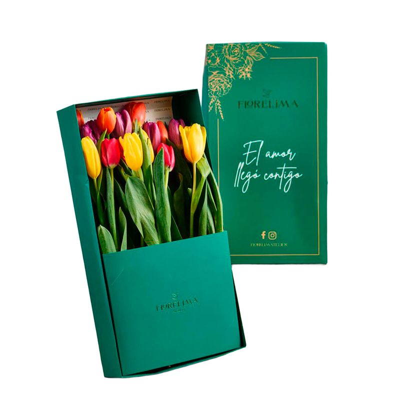 GENERICO - Caja de 20 Tulipanes Multicolor