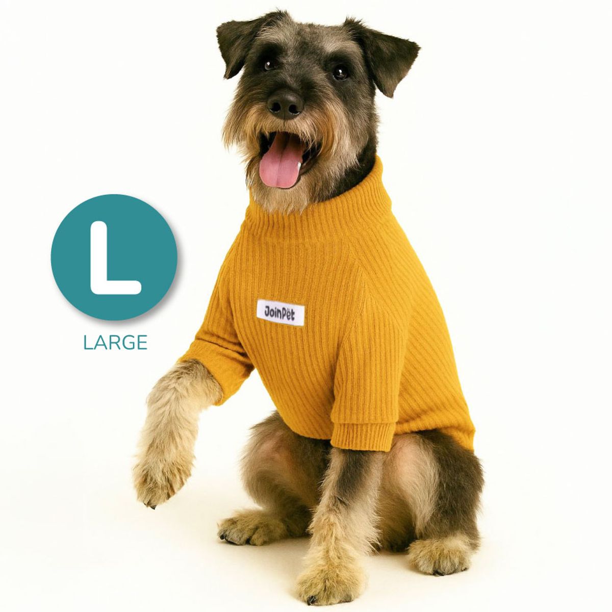 CAT OH - Cafarena Golden Vibes  L Ropa para perros