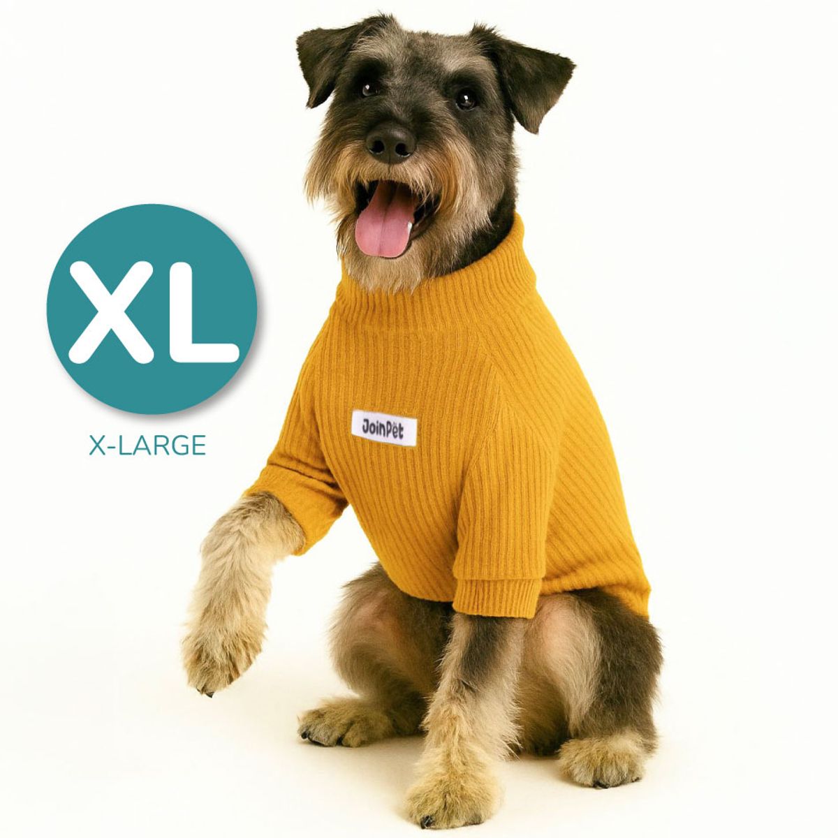 CAT OH - Cafarena Golden Vibes  XL Ropa para perros