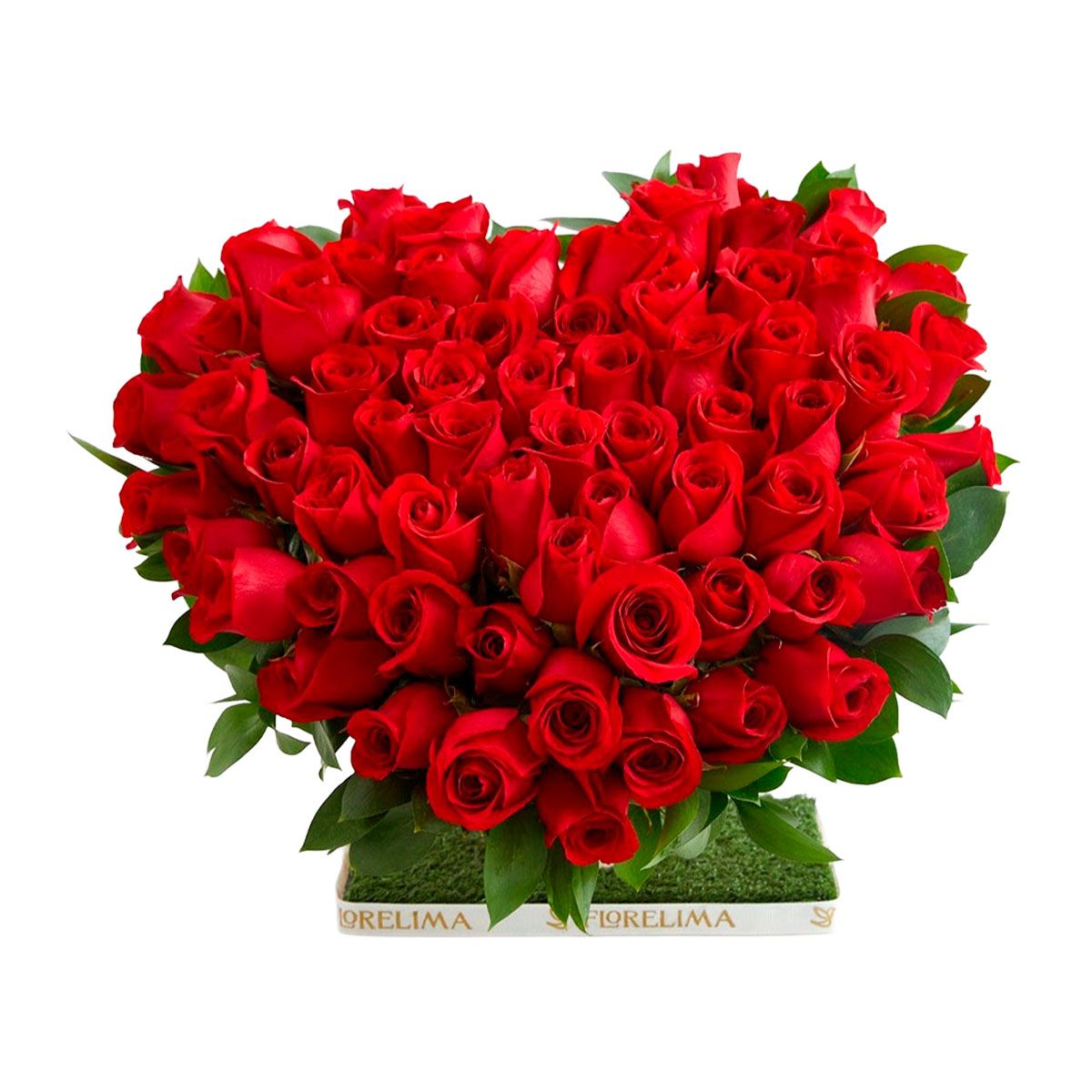 GENERICO - Mini Rosalie - 80 Rosas Rojas