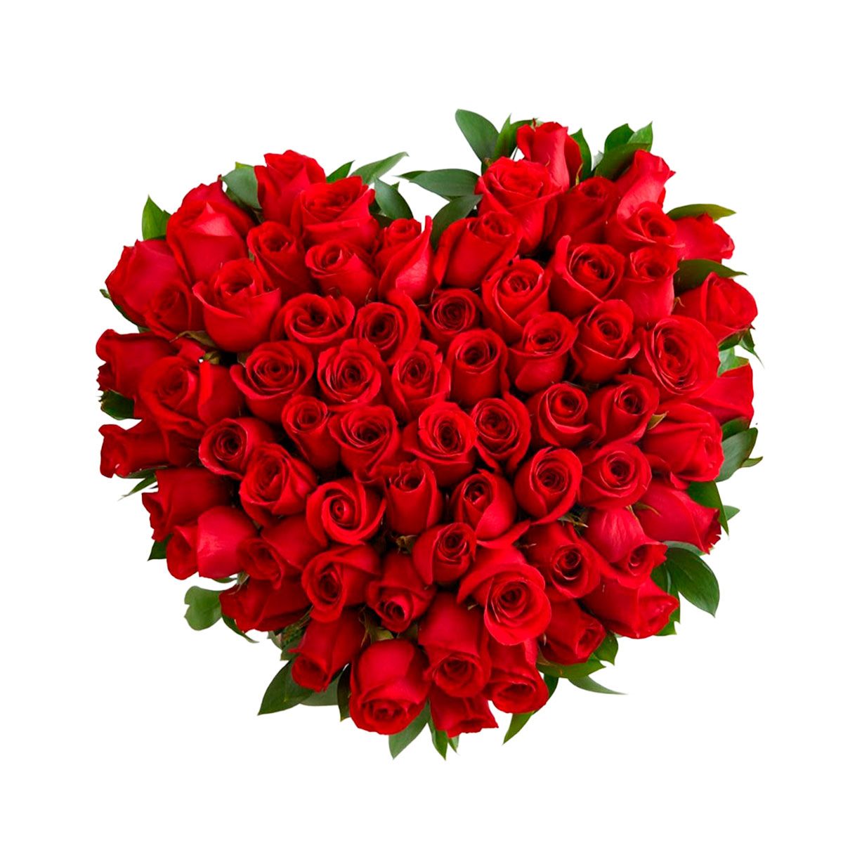 GENERICO - Mini Rosalie - 80 Rosas Rojas