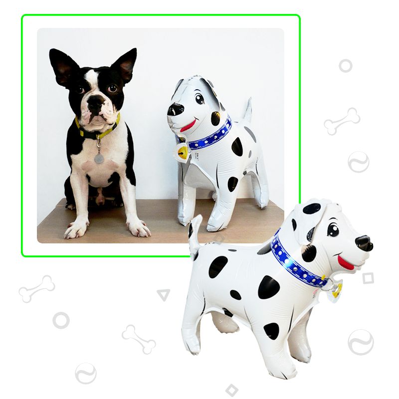 GENERICO - Globos de perritos en 3d set x 2 unidades