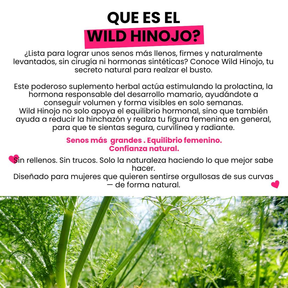 CURVY FRUIT - Bust & Slim Pack Wild Hinojo + Fit C Xtreme  Aumenta Busto + Reduce Grasa Curvy Fruit