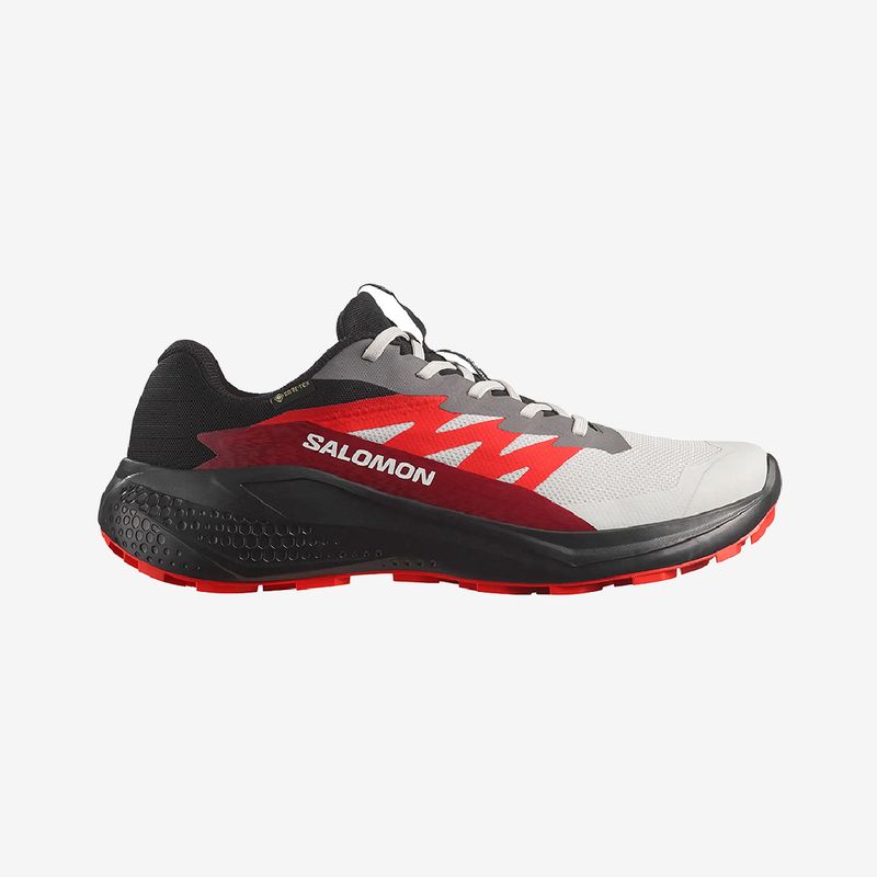 SALOMON - Zapatillas Alphaglide GTX Trail Running Hombre - Salomon