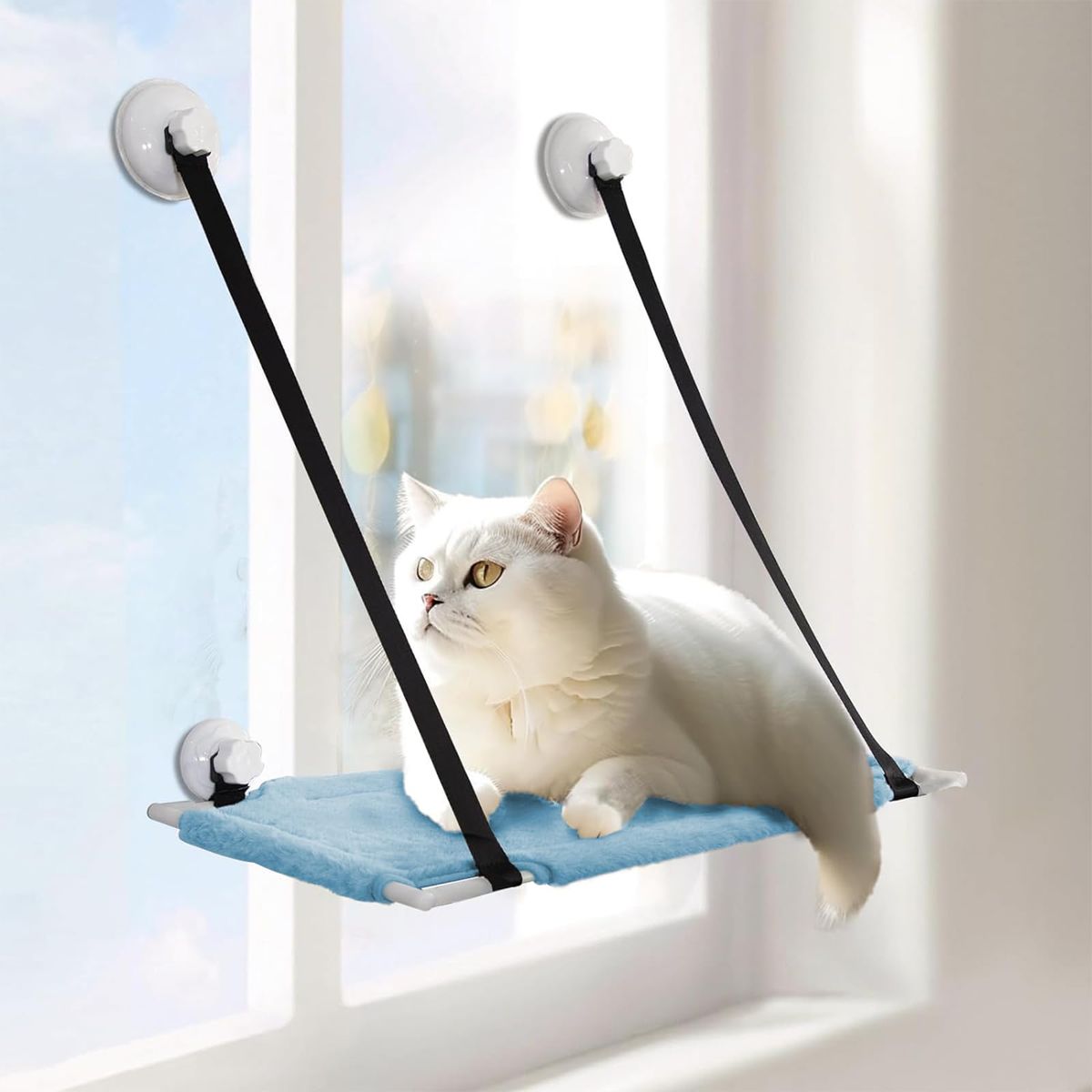 GENERICO - Hamaca de ventana para Gato Celeste