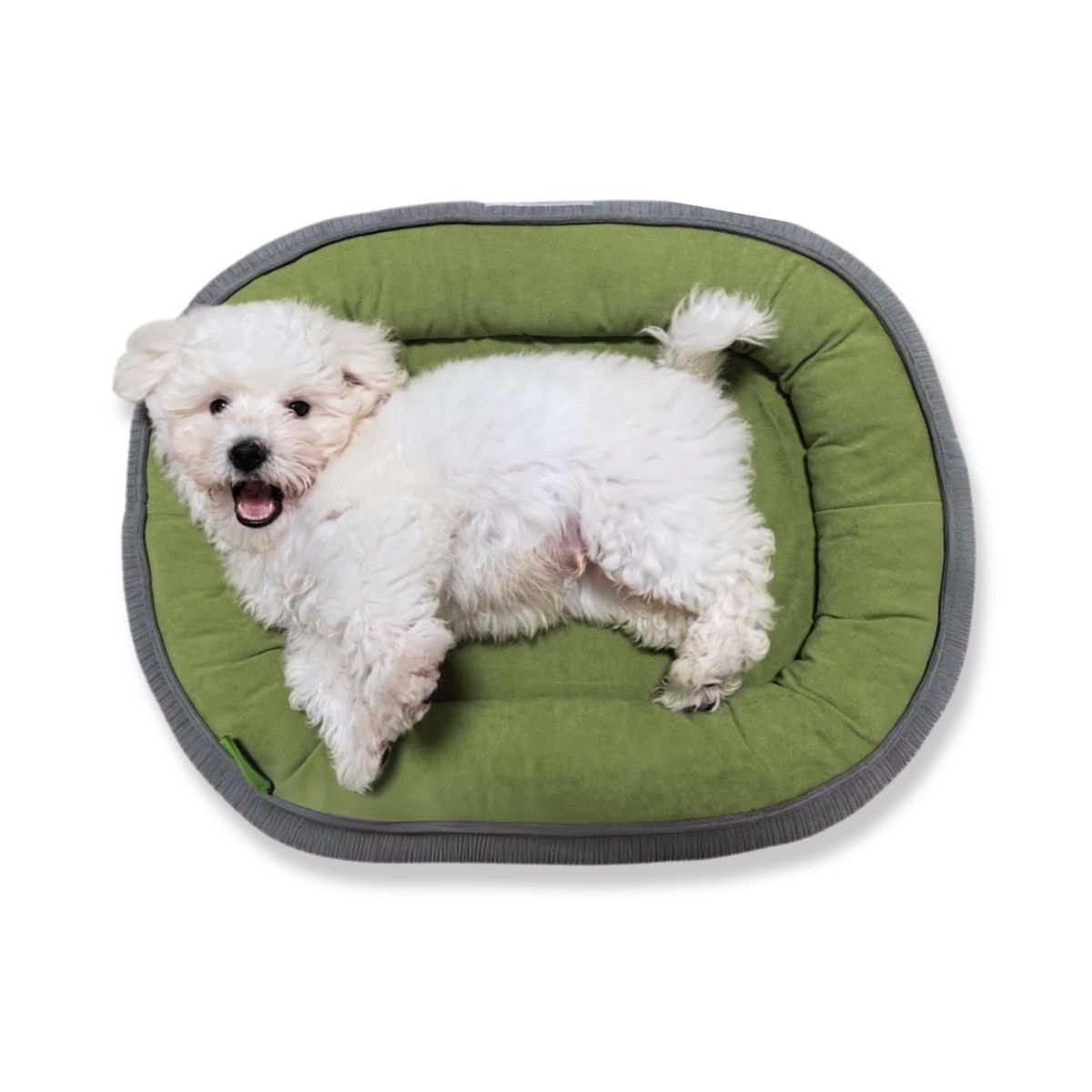 GENERICO - Cama Mascotas Suave Perro Gato Kimpets-Talla M-Verde