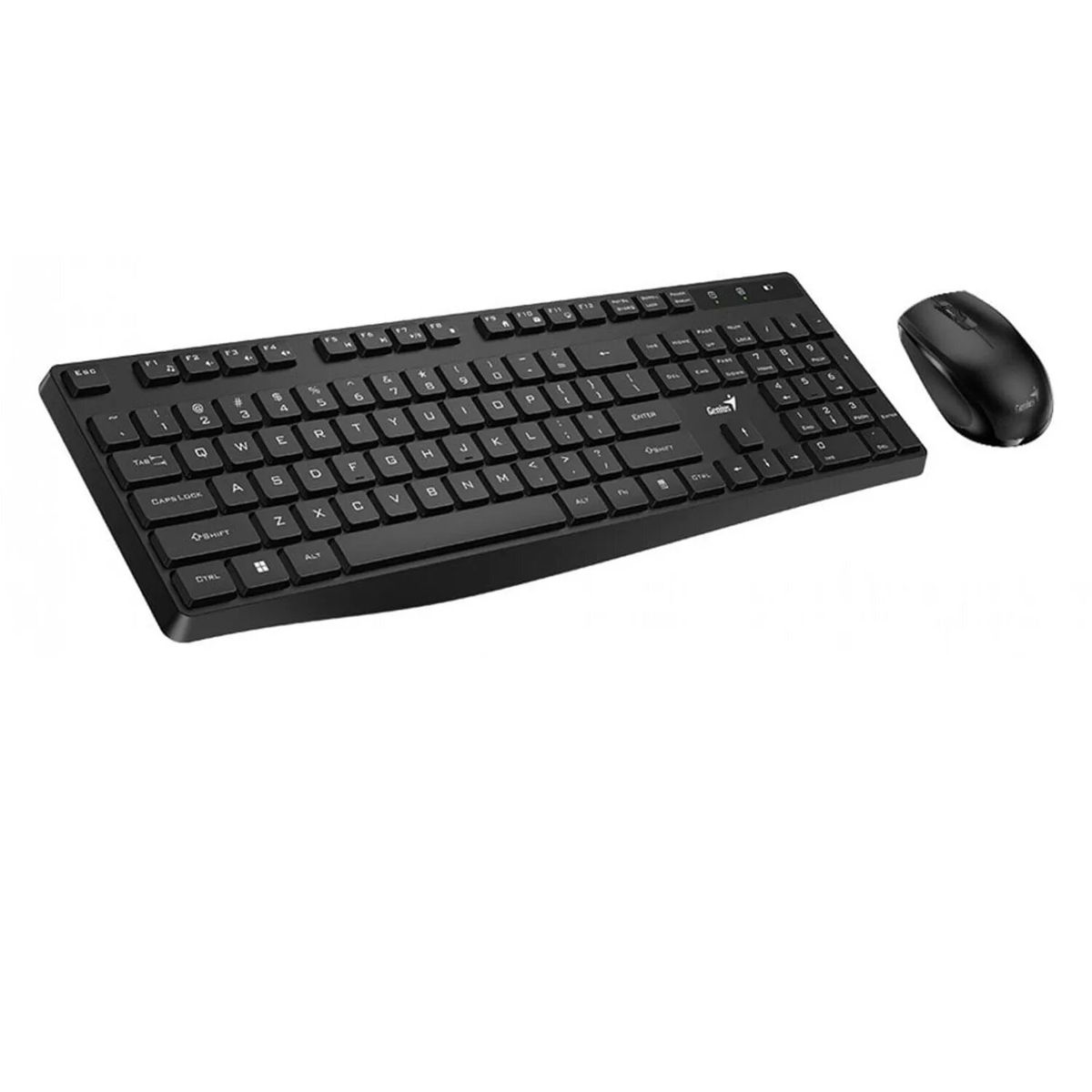 GENIUS - Teclado Genius con Mouse wireless KM-8206S USB multimedia black