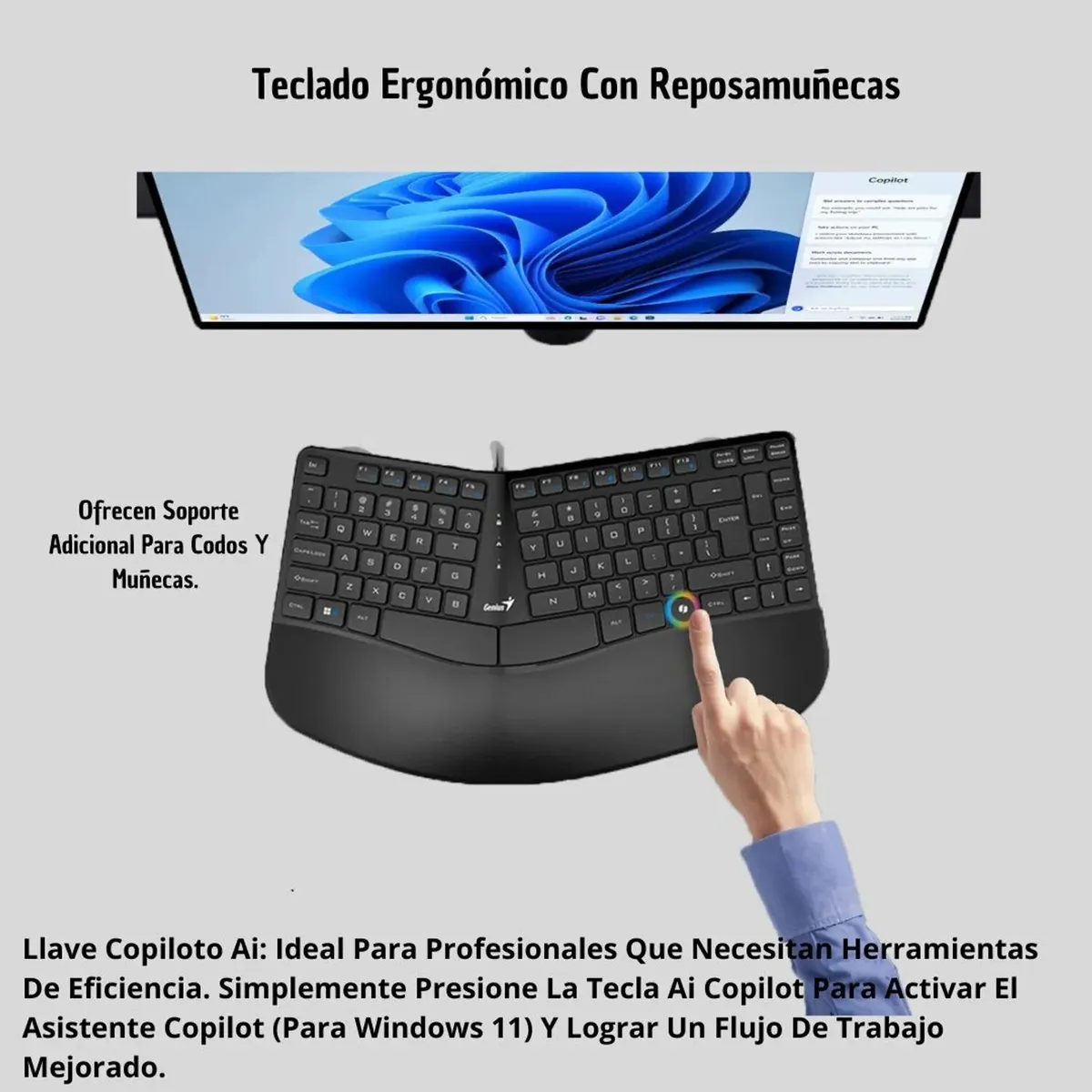 GENIUS - TECLADO GENIUS ERGO KB-700 CTECLA COPILOT USB SP BLACK