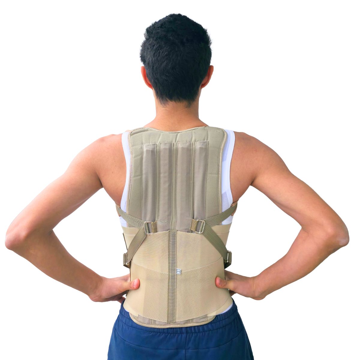 GENERICO - FAJA DORSO RIGIDA DRILL ANTIALERGICO TALLA L