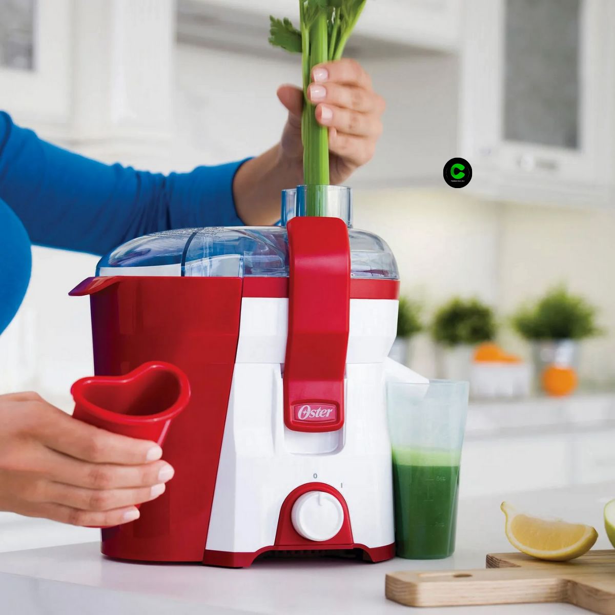 OSTER - Extractor OSTER de jugos 500ml FPSTJE316R