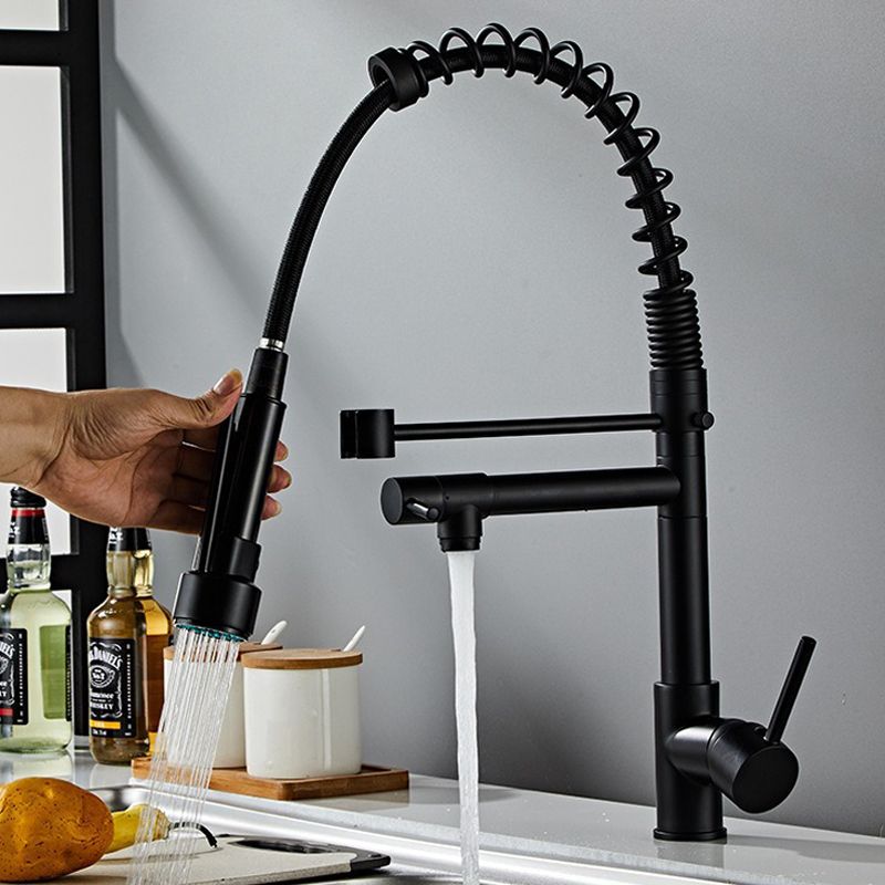 FRITECSA - Grifo Monocomando Inox. 304 Professional con Manguera