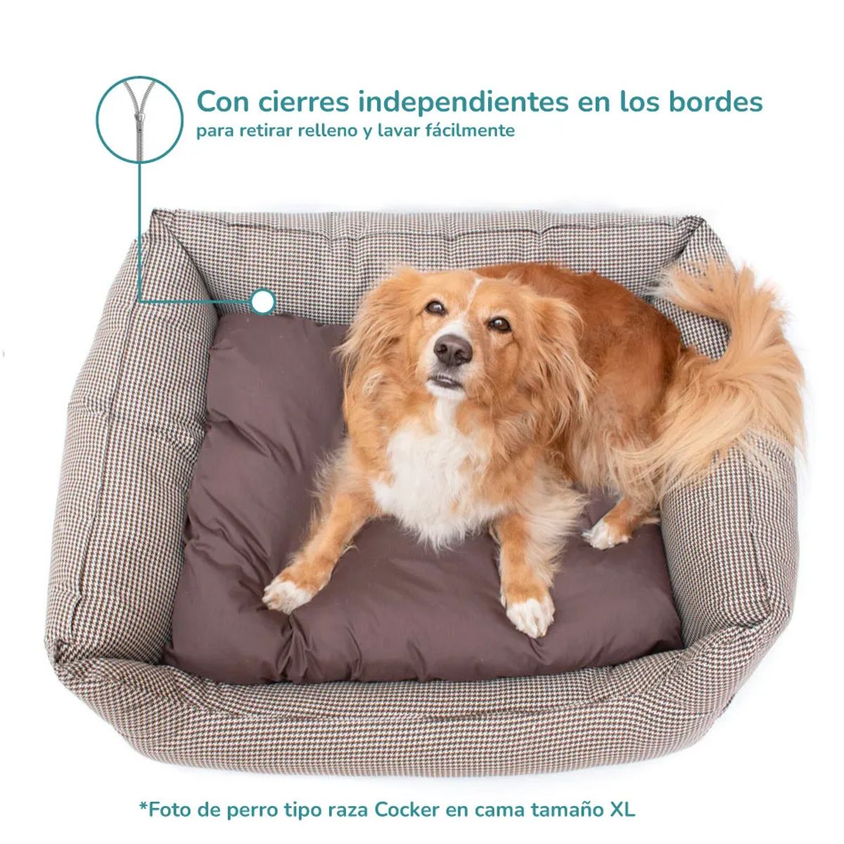 CAT OH - Cama Confort Gales XL