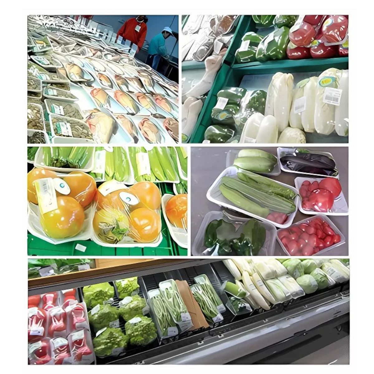 GENERICO - Máquina de Sellado Térmico a Mano para Alimentos Industrial