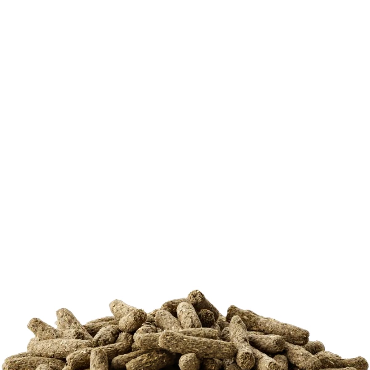 GENERICO - Versele Laga Adulto 500g Comida Alimento para Conejo