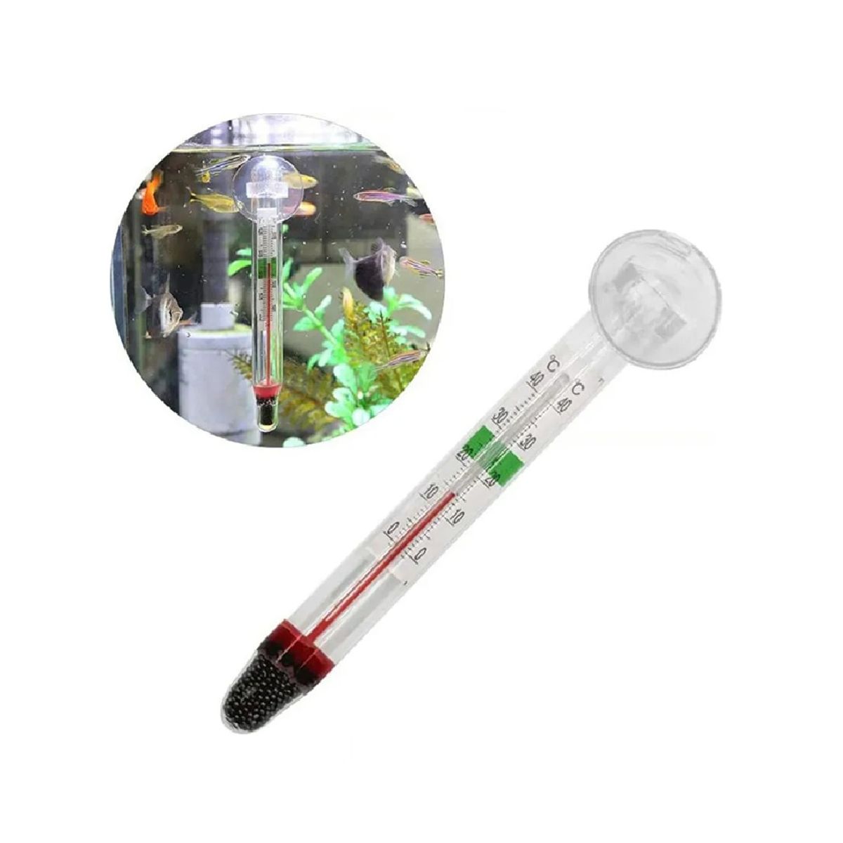 GENERICO - Termómetro de vidrio sumergible para peceras yo acuarios