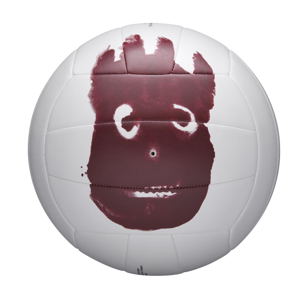 WILSON - Pelota de Voleyball Castaway - Wilson