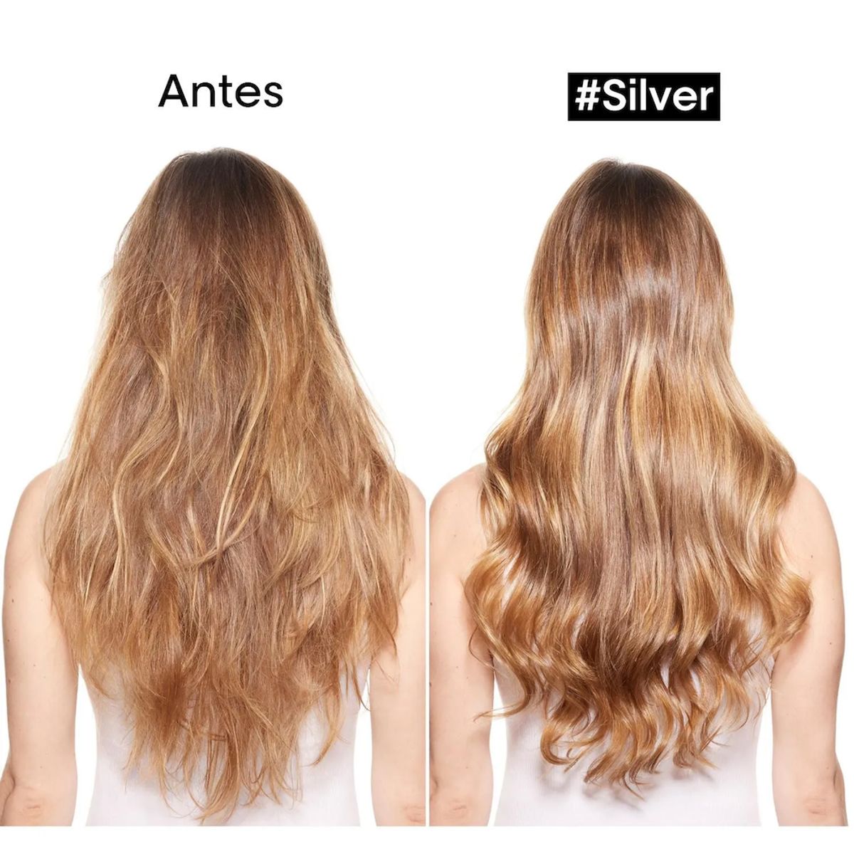 LOREAL PROFESSIONNEL - Shampoo Silver cuidado del cabello blanco Loreal professionnel 300ml