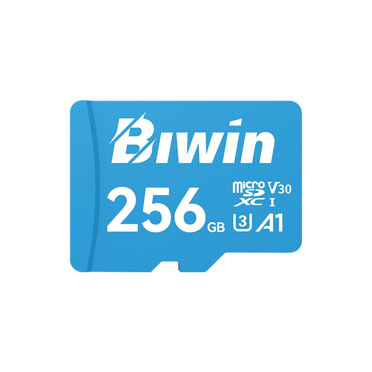 GENERICO - Memoria Flash microSD BIWIN MS100 256GB UHS-1