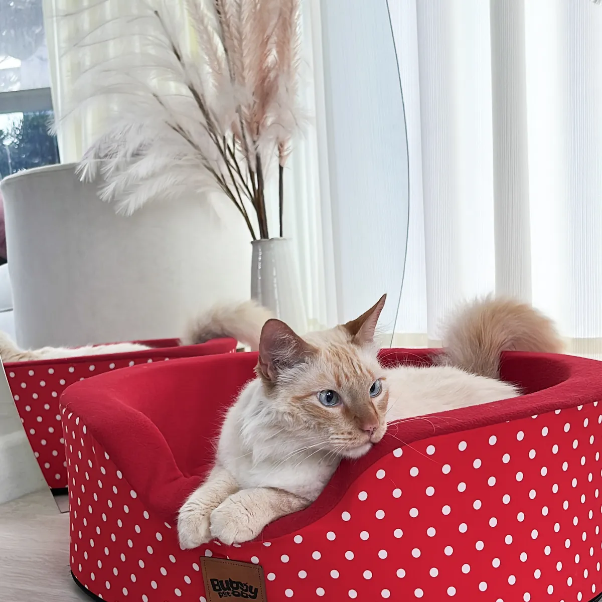 PRETTYPETS - CAMA PARA MASCOTA BUGGY RED VELVET  TALLA M