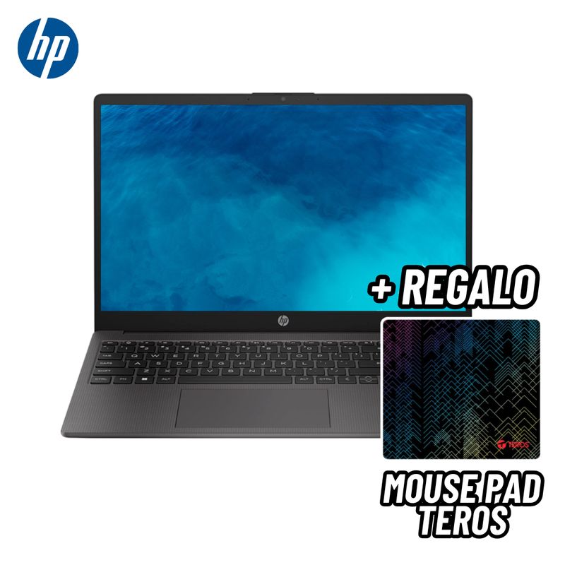 HP - LAPTOP HP 255 G10 15.6 HD AMD ATHLON SILVER 7120U 8GB RAM 256GB SSD + MOUSE PAD TEROS