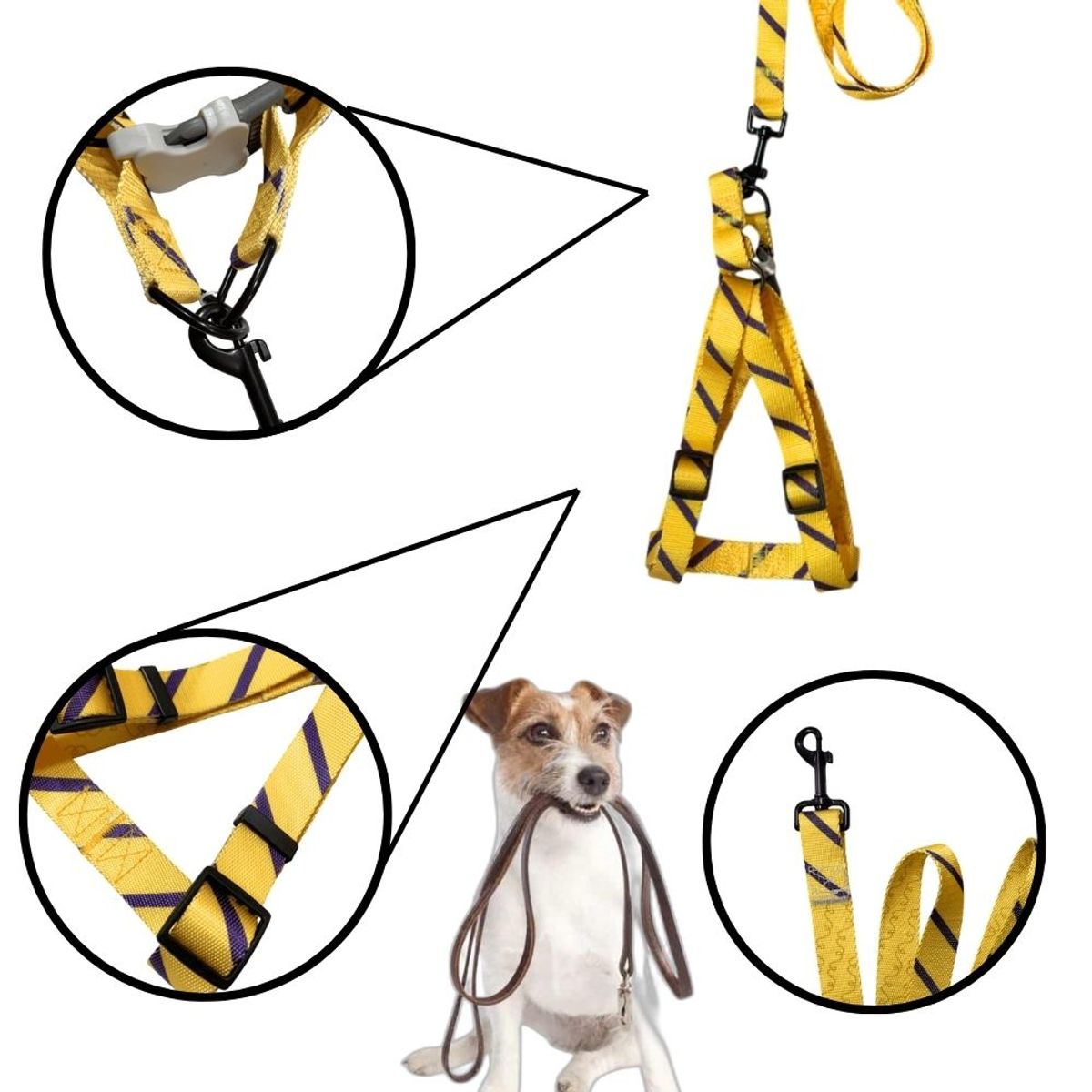 GENERICO - Arnes Regulable Con Correa Print Talla M - Amarillo