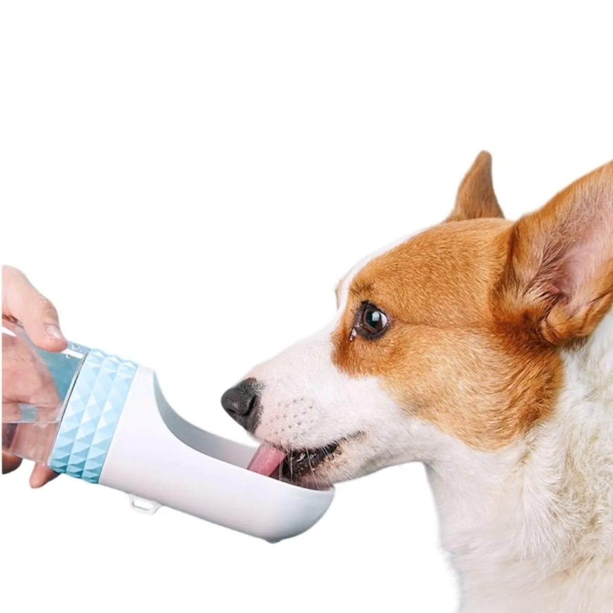 GENERICO - Bebedero Portátil Largo Mas Porta Comida - Verde