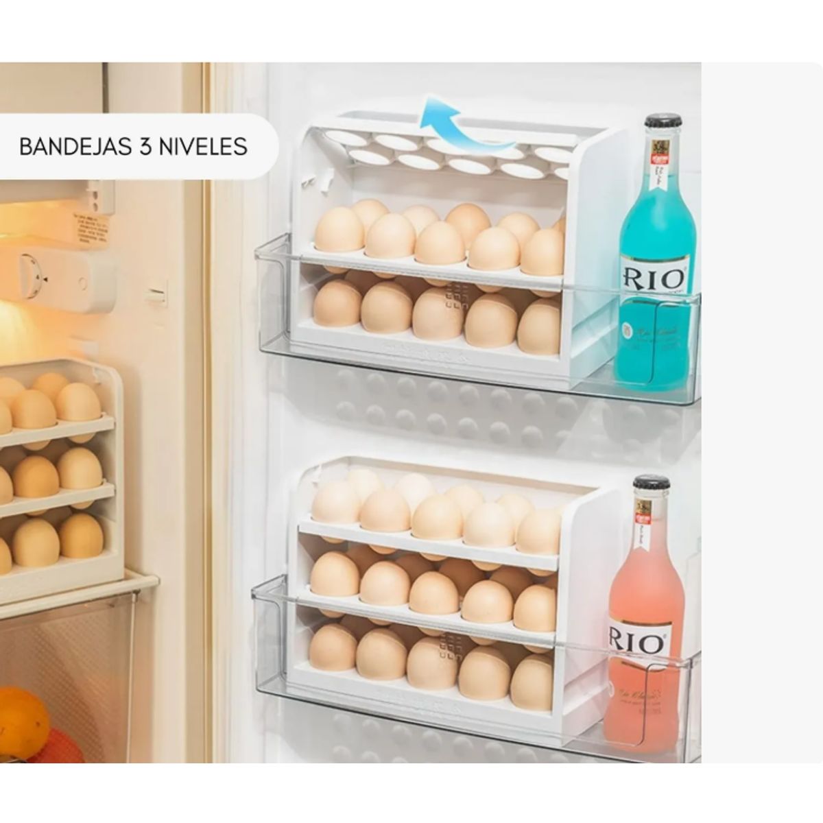 GENERICO - ORGANIZADOR DE HUEVOS