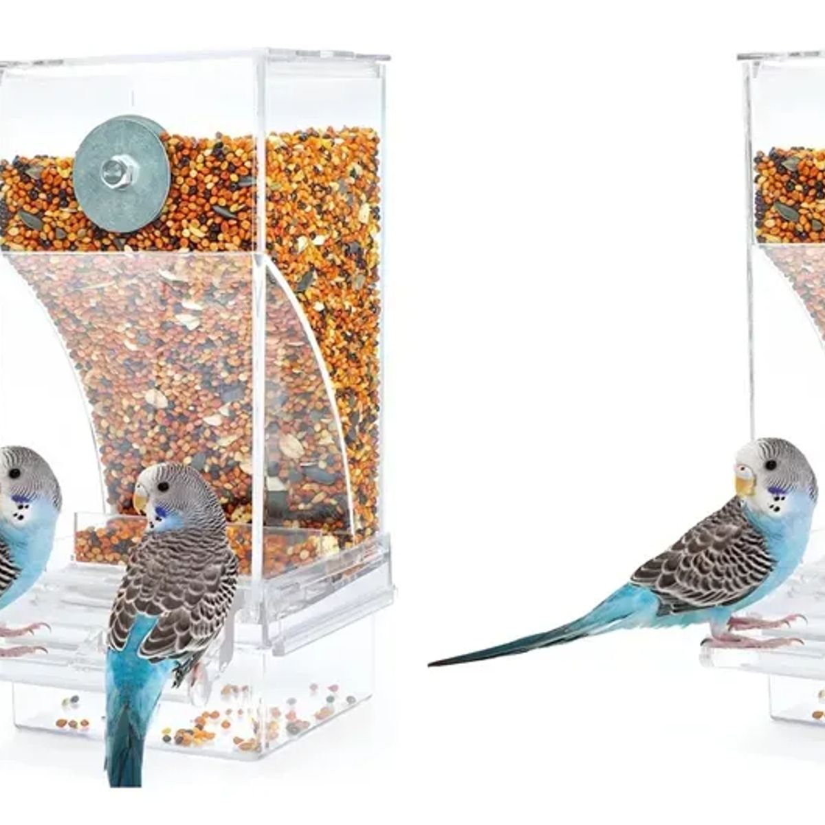 GENERICO - COMEDERO ACRILICO AUTOMATICO PARA AVES TRANSPARENTE