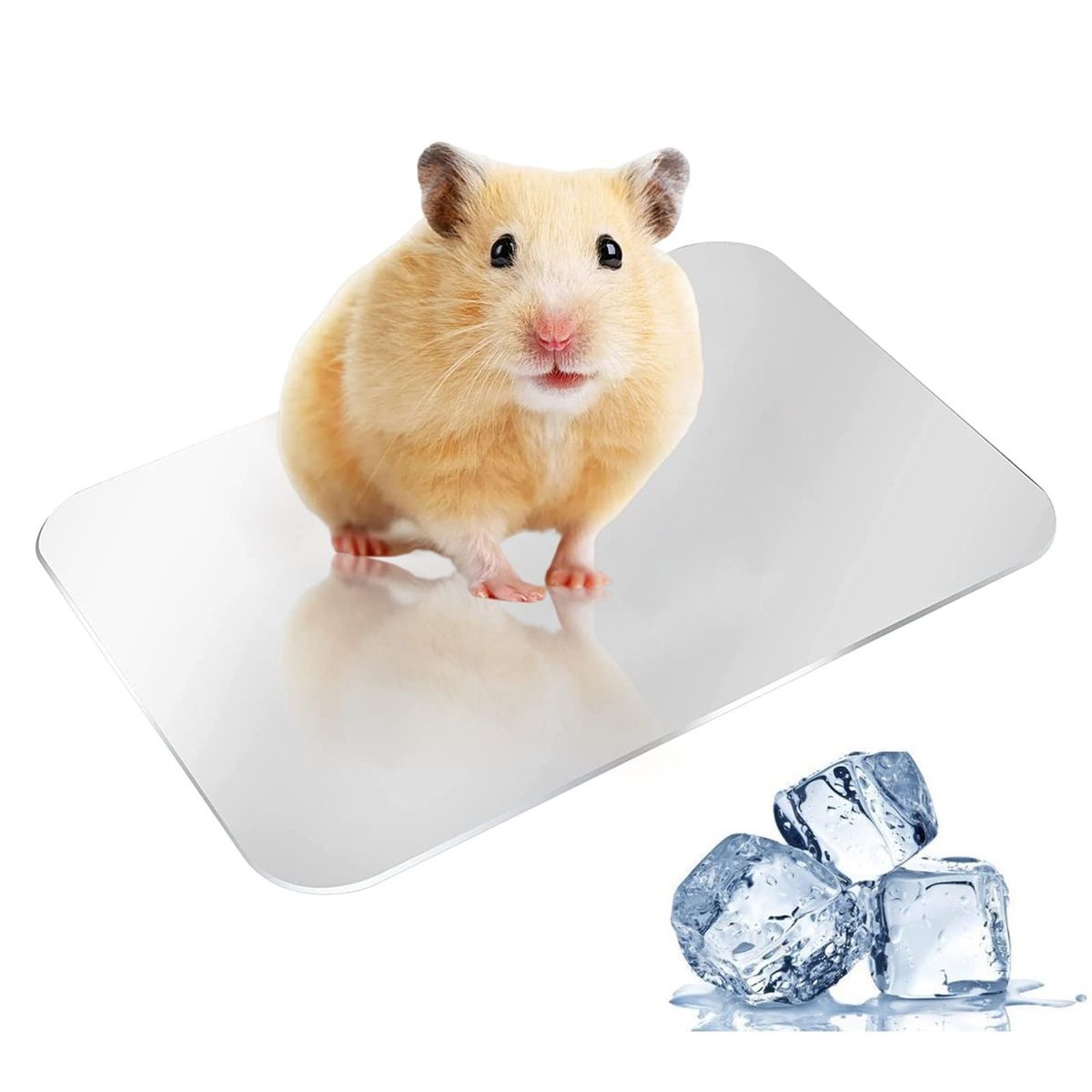 GENERICO - Placa de aluminio refrigeración para hamsters