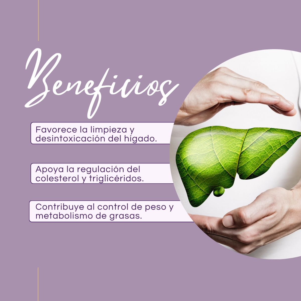 DINOA - Hercampuri Pote de 80g Dinoa - Cuidado del hígado