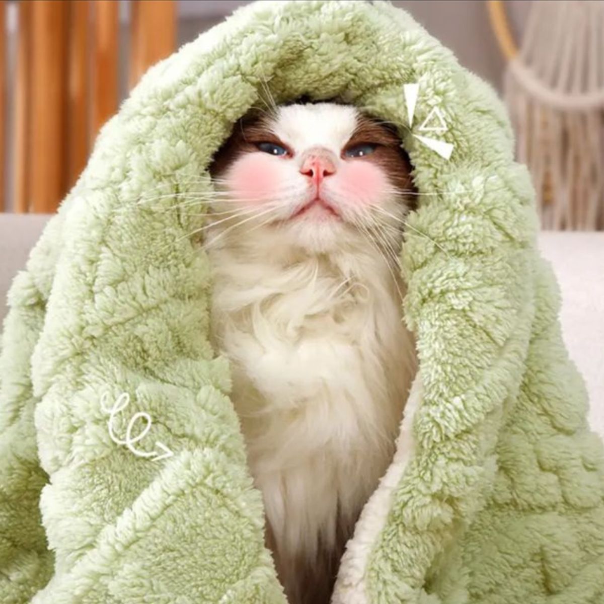 GENERICO - Manta Suave con Pompones para Gato o Perro Felpa Acolchada