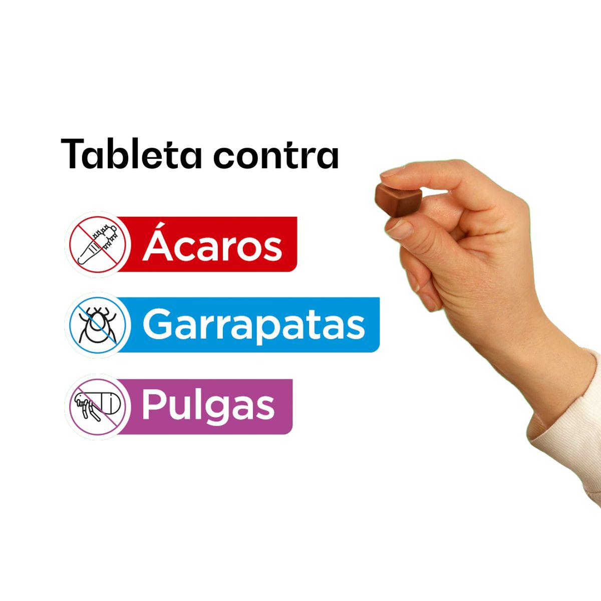 PROTEGGO - Proteggo 3M de 10 a 20 Kg X1 Tableta Antipulgas Para Perro