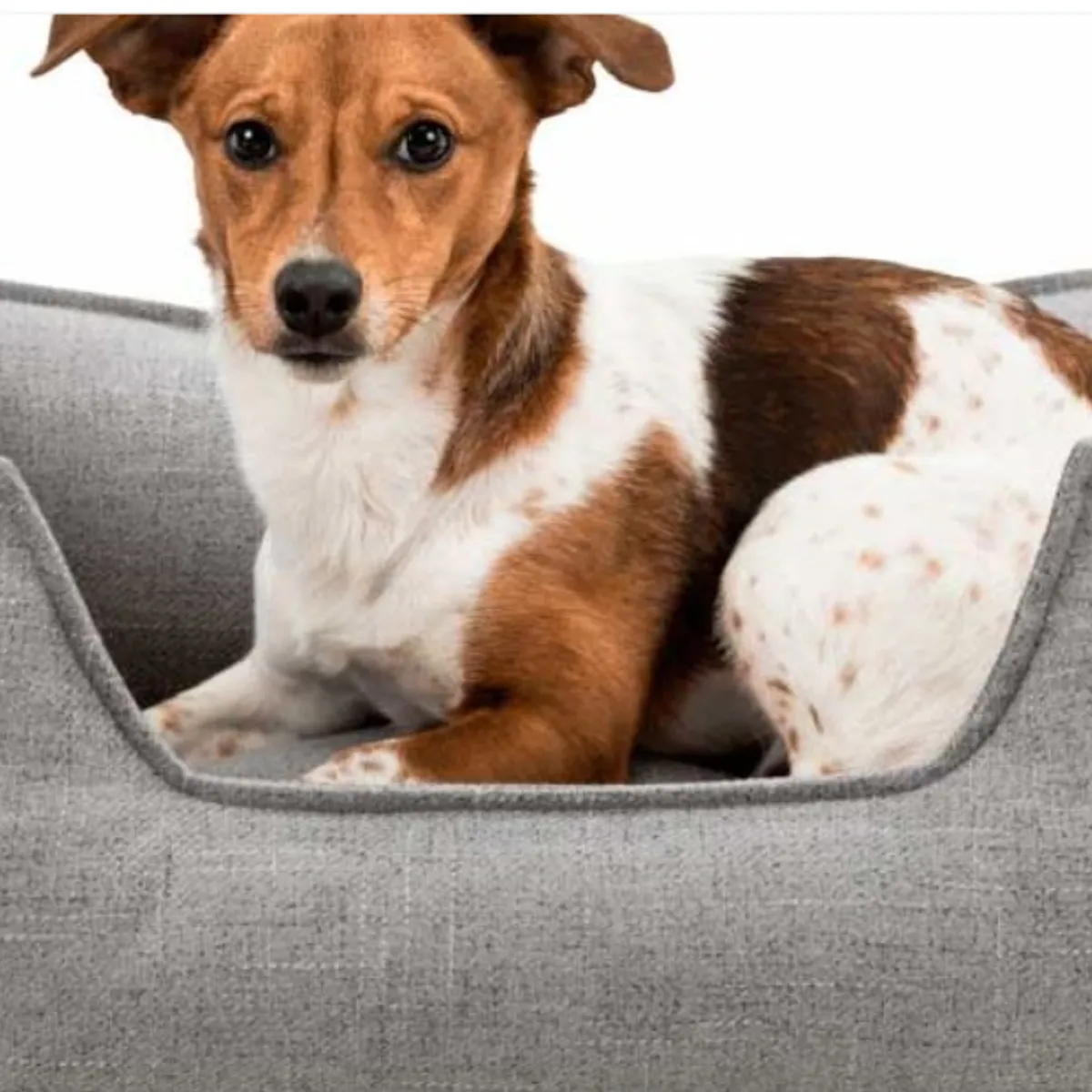 NACIONAL - CAMA PARA PERROS ANTIALÉRGICA TALLA M ROSADO LAVABLE