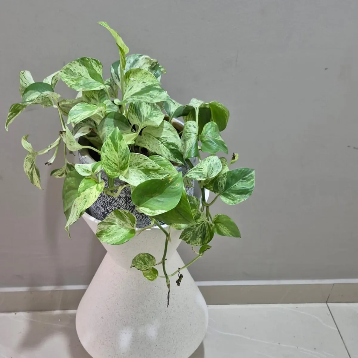 GENERICO - Jarrón De Piso Telquines Decorativo 57x27x27cm