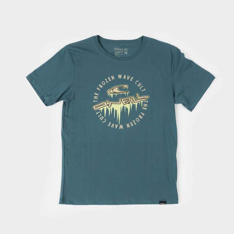 O'NEILL - POLO NIÑO ONEILL GRAPHIC T SHIRT ALMA STEEL