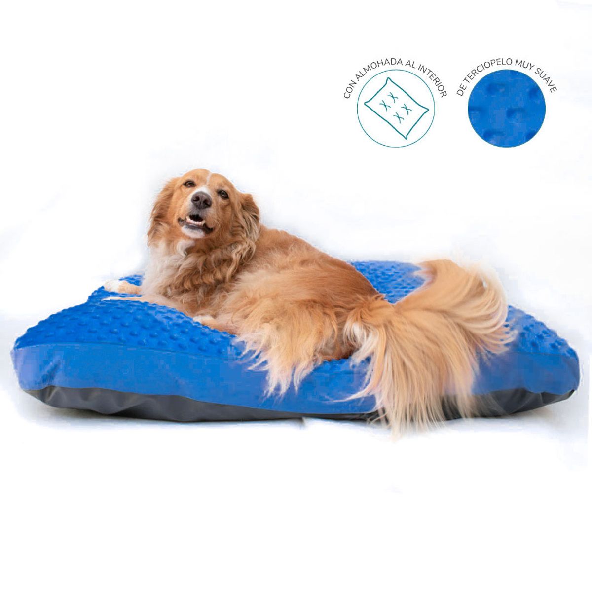 CAT OH - Cama Colchoneta para Perros Dots Azul - L