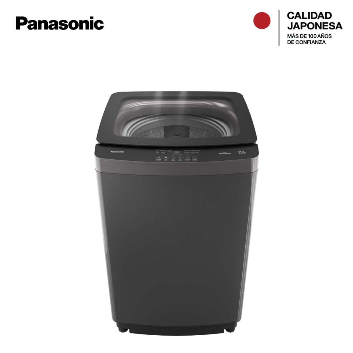PANASONIC - Lavadora 17kg Top Load F17JB1 Carga Superior Gris