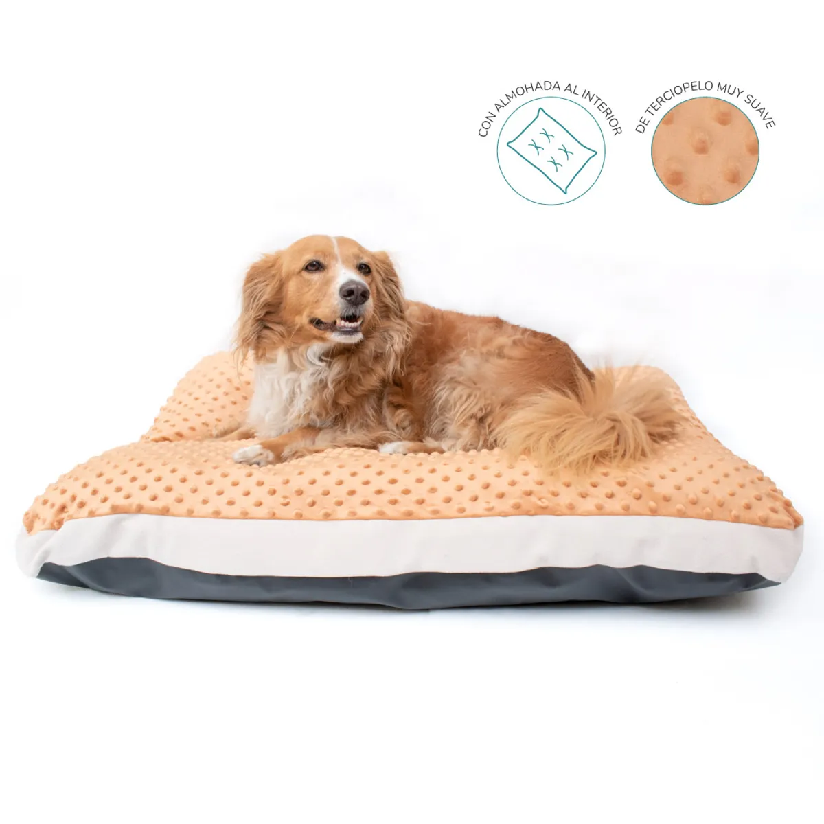 CAT OH - Cama Colchoneta para Perros Dots Marrón - L