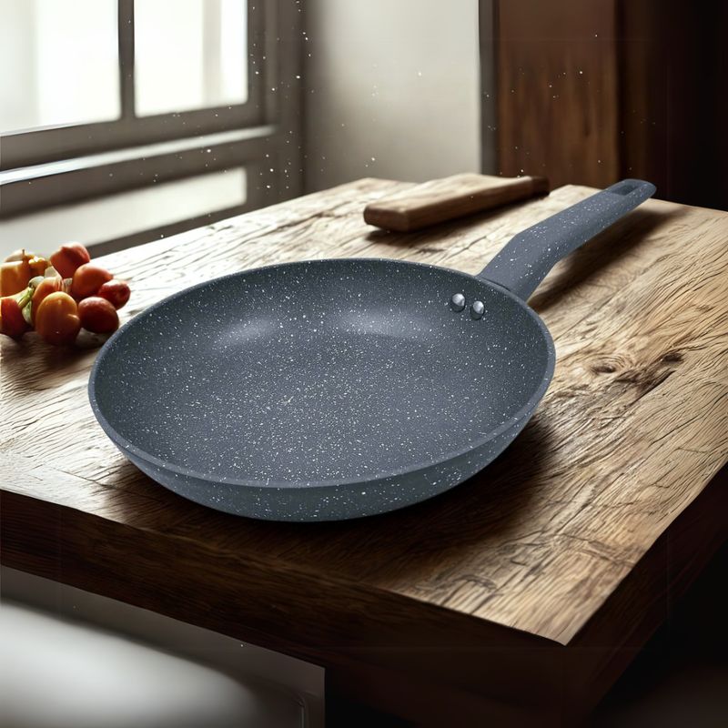 RECORD - Sarten Antiadherente RECORD SABINA de 22 cm Gris STONELINE