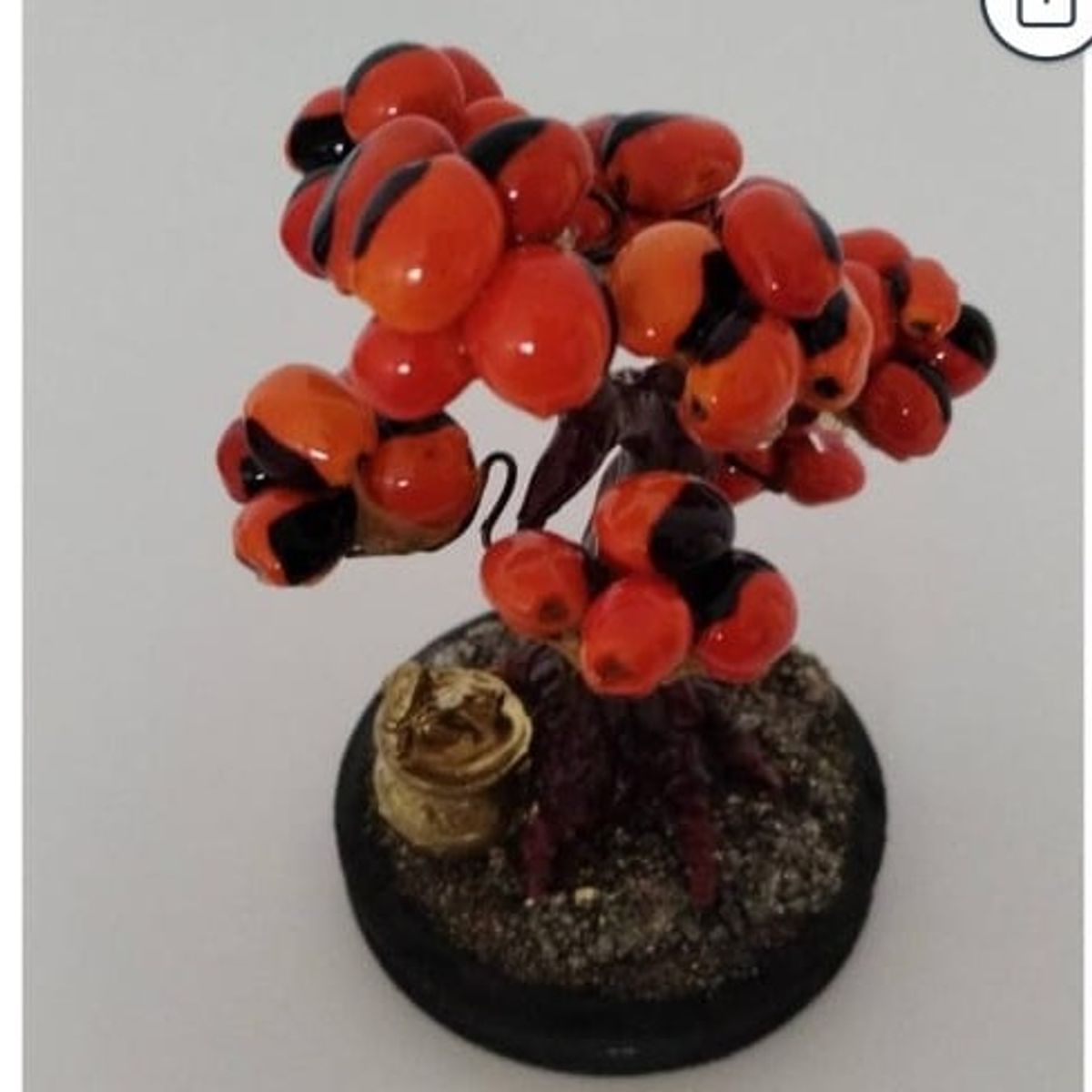 GENERICO - ARBOLITO DE LA FELICIDAD BONSAI MEDIANO CON SEMILLAS HUAYRURO